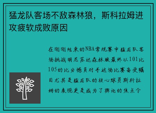 猛龙队客场不敌森林狼，斯科拉姆进攻疲软成败原因